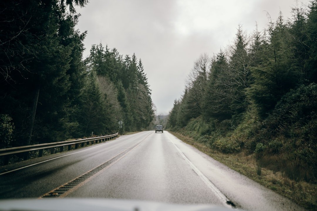 Ruta en coche por la Baja California Sur con presupuesto bajo – 10 días por menos de $8,000 MXN imagen del tema