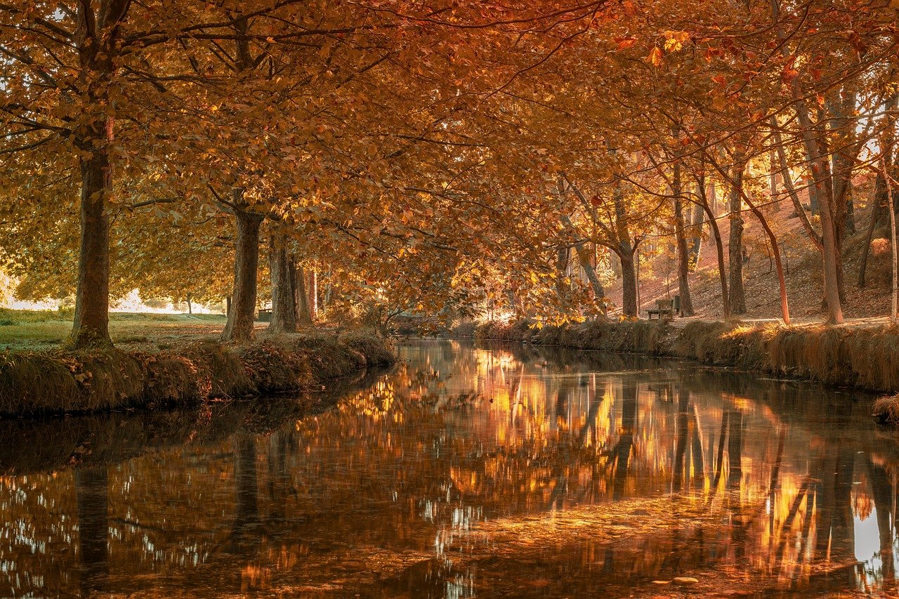 Qué Ver en Monterrey con Poco Dinero: Guía Completa imagen