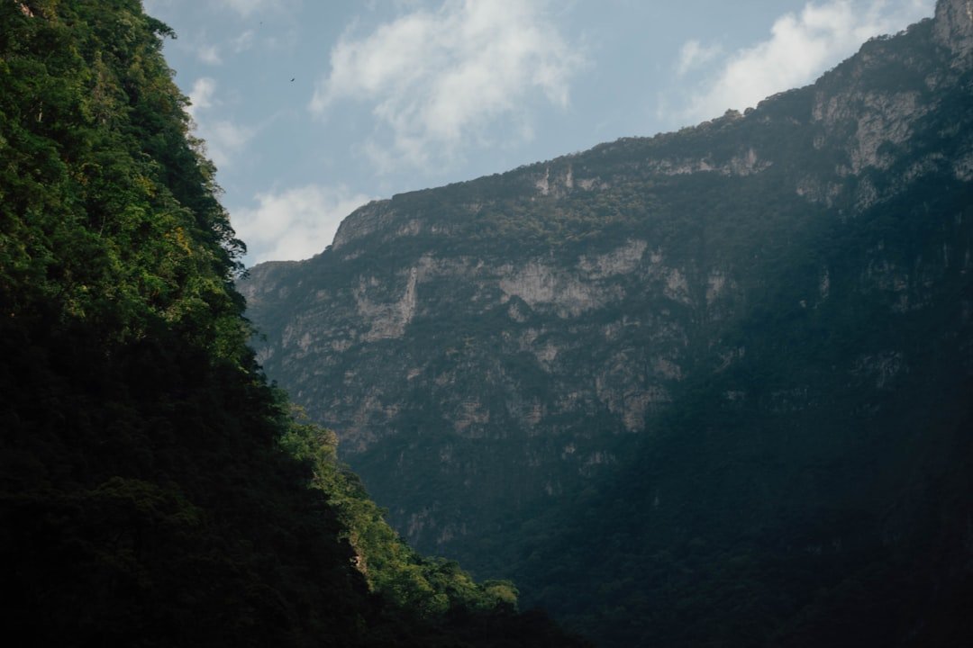 Parques Naturales Baratos en México para Ecoturismo imagen relacionada