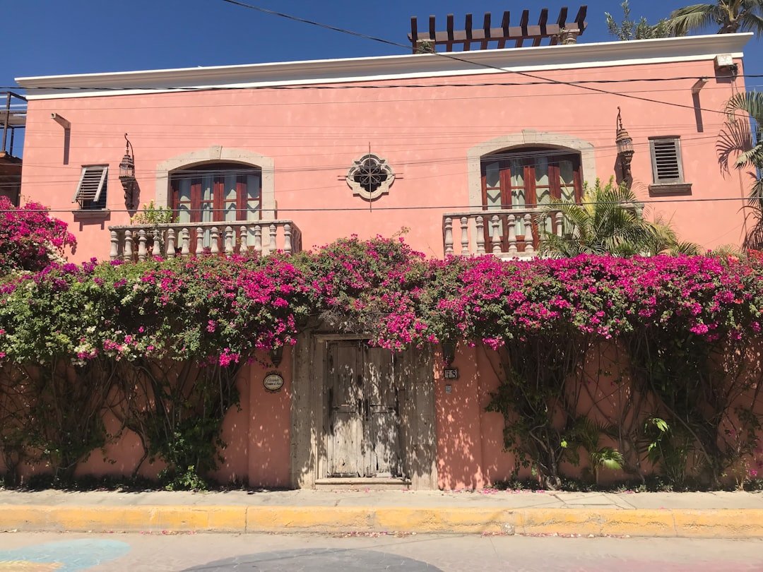 Cómo Reservar Hoteles Baratos en México sin Estafas imagen del tema