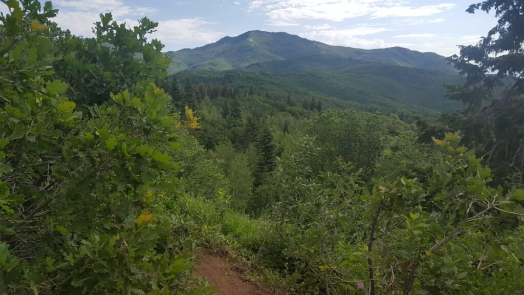 Los miradores y hikes gratuitos más espectaculares de México imagen