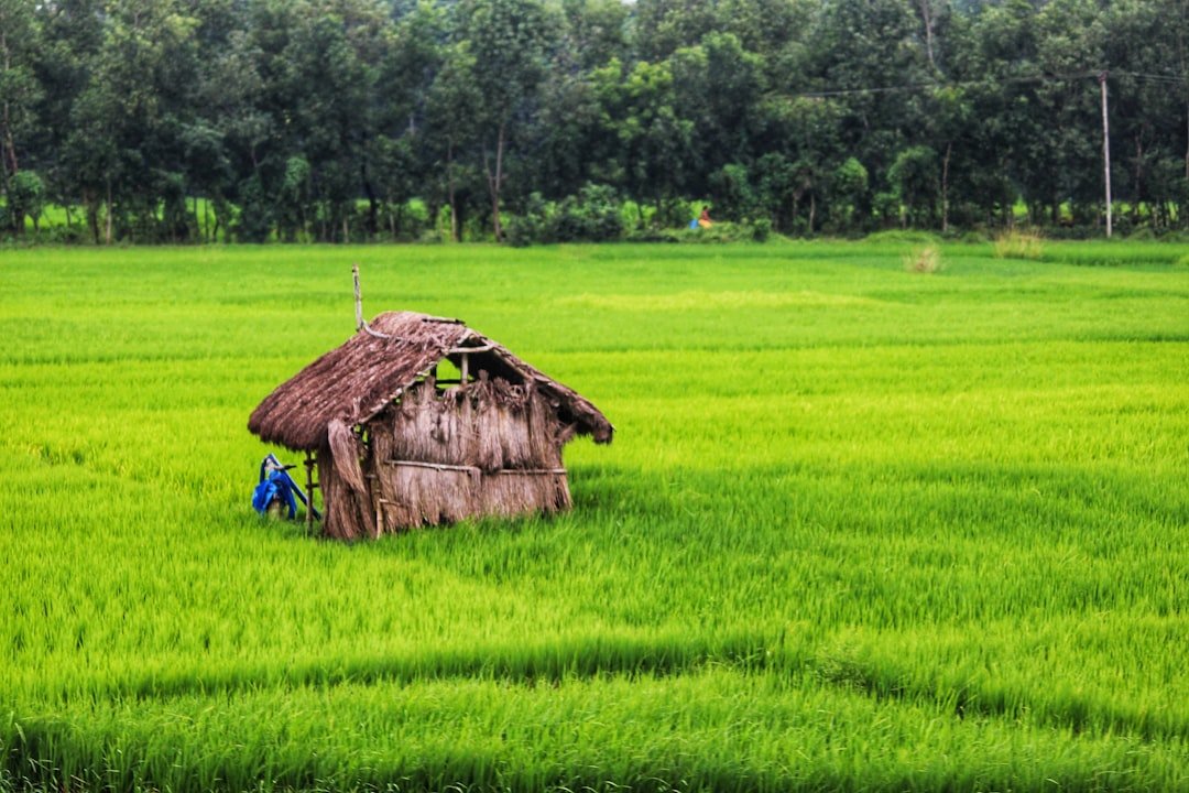 viajar tiempo imagen del tema