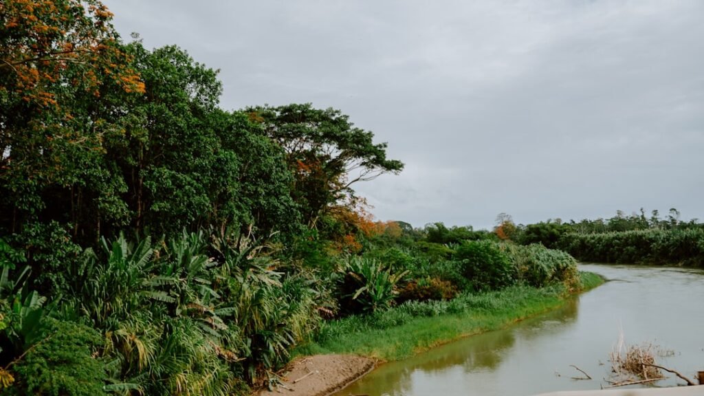 viaje a costa rica imagen